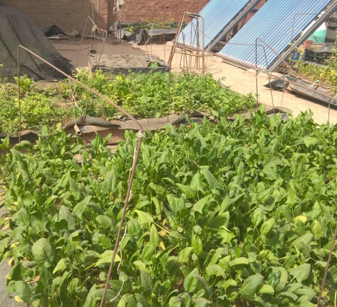 WP_20180306_10_54_57_Pro