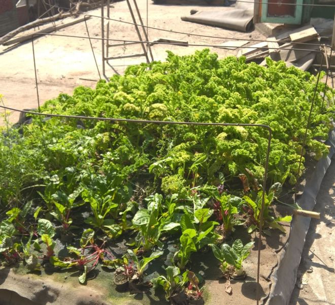 WP_20180313_10_36_05_Pro