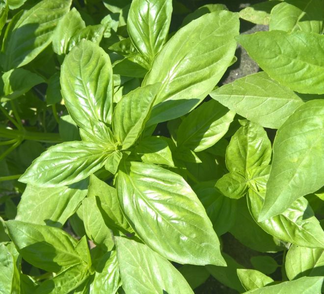 WP_20180606_11_42_44_Pro