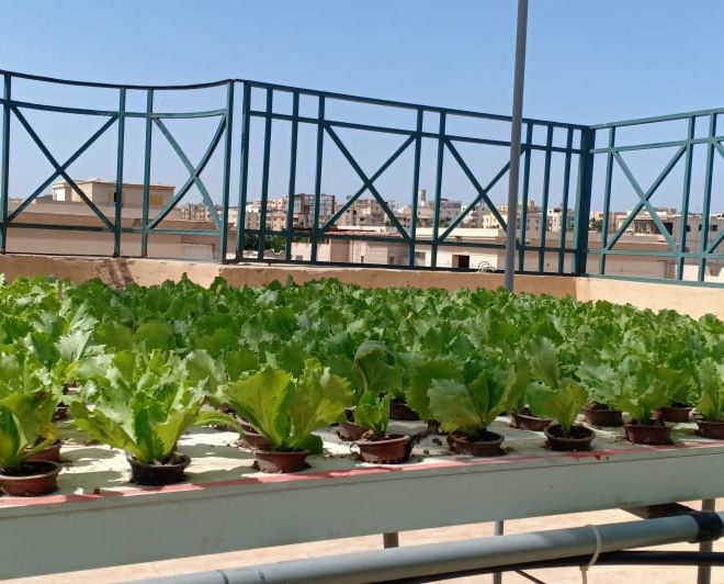 e00cdf28-6780-4d4d-b5c7-c29e4fed8110