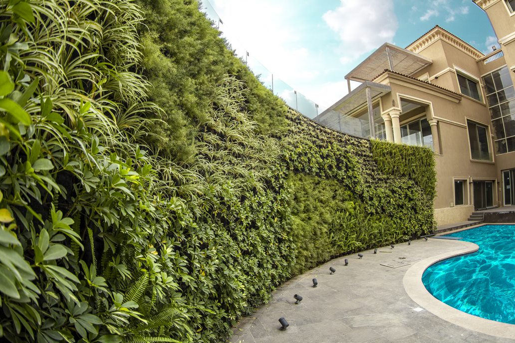 1541c0bb-262c-4911-899e-aa5577abe131