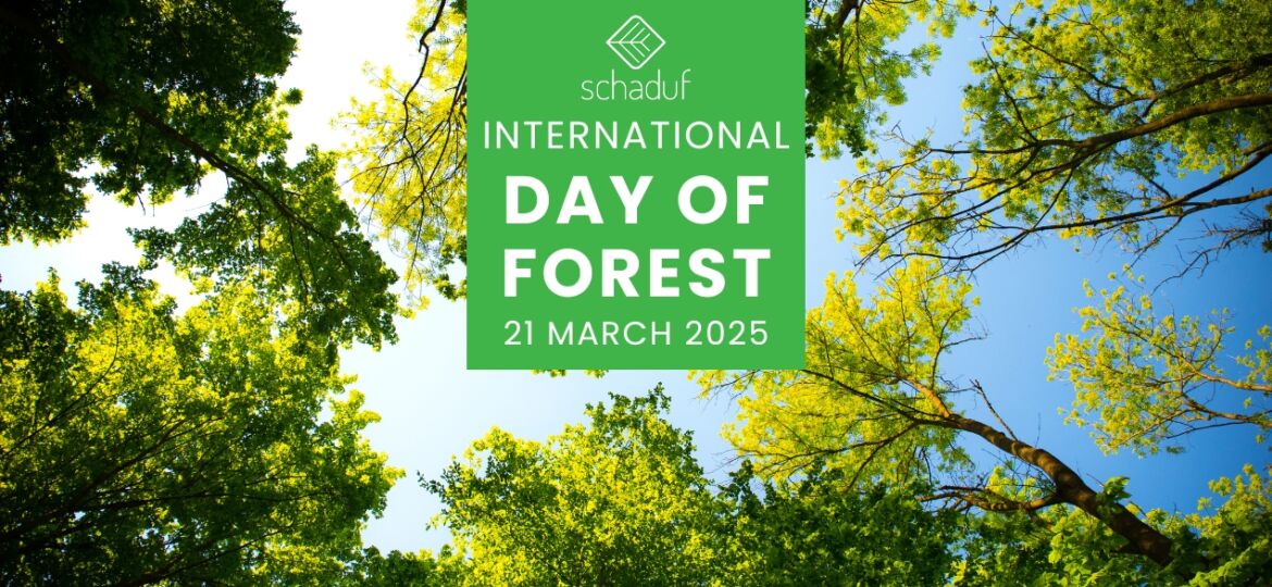 White and Green Simple Minimalist International Day Of Forest Celebration Facebook Post (1270 x 720 px) (5)