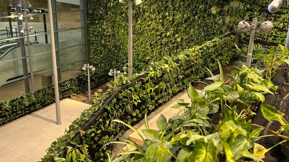 WhatsApp Image 2025-02-26 at 6.00.29 PM