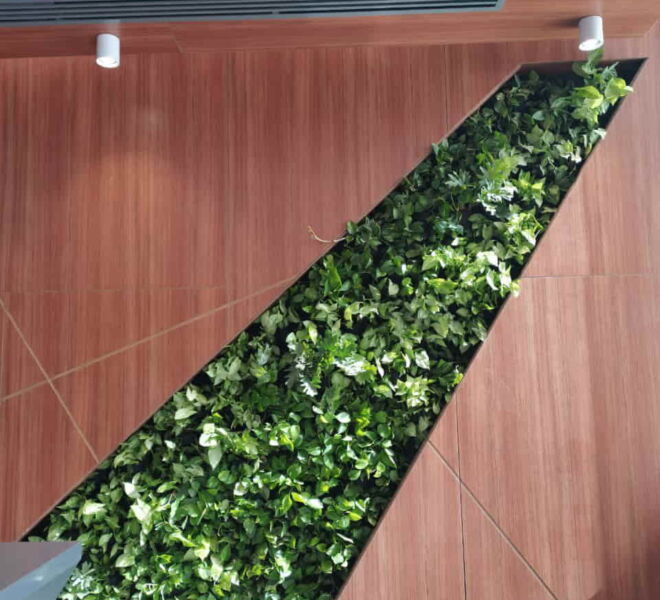 6010186907297891977 (1)