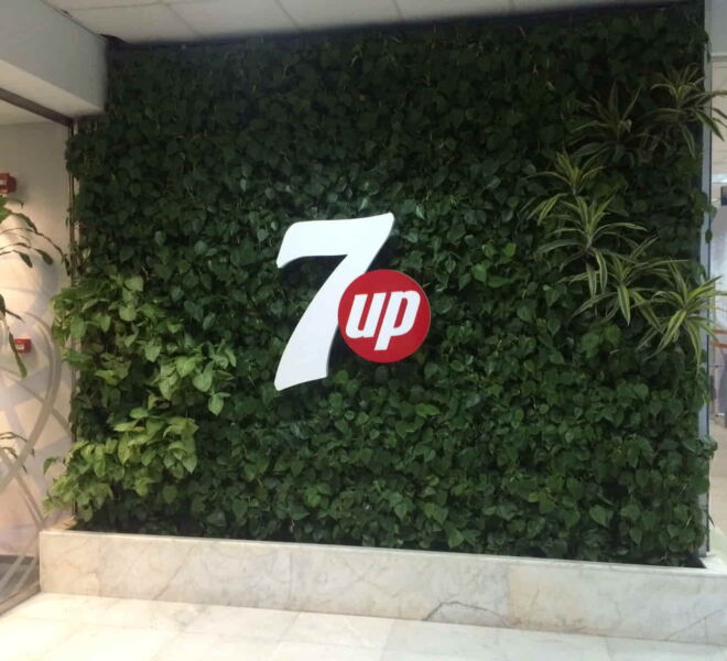 7 UP