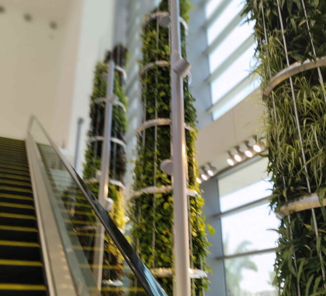 WhatsApp Image 2024-07-31 at 1.17.19 PM