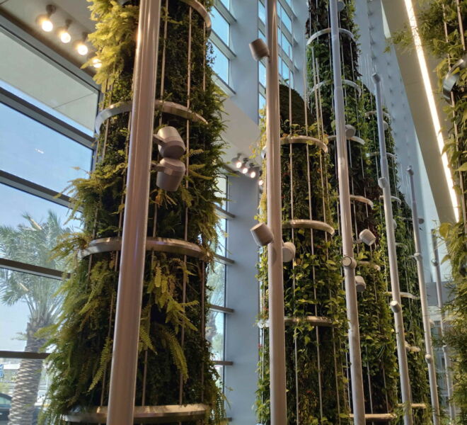 WhatsApp Image 2024-07-31 at 1.17.34 PM