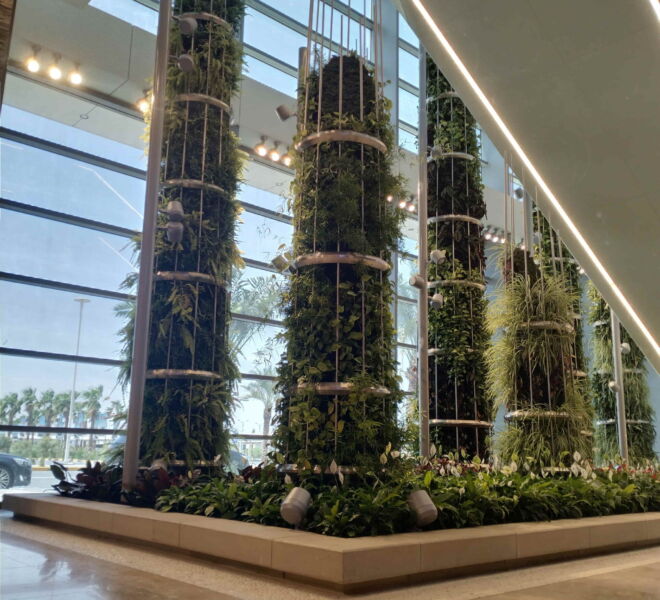 WhatsApp Image 2024-07-31 at 1.18.26 PM (1)