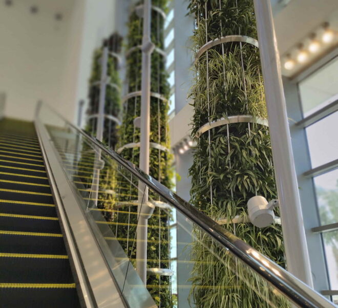 WhatsApp Image 2024-07-31 at 1.18.26 PM (2)