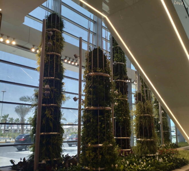 WhatsApp Image 2024-07-31 at 1.18.27 PM