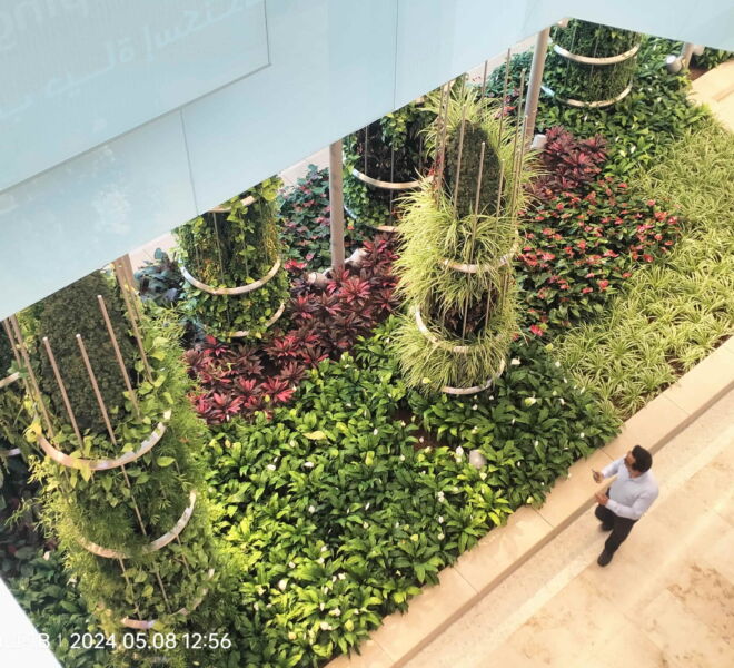 WhatsApp Image 2024-07-31 at 1.20.16 PM (1)