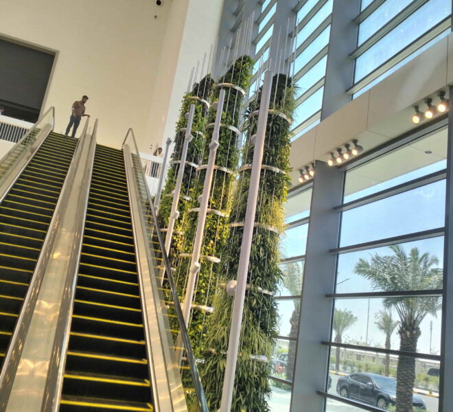 WhatsApp Image 2024-07-31 at 1.20.17 PM (2)