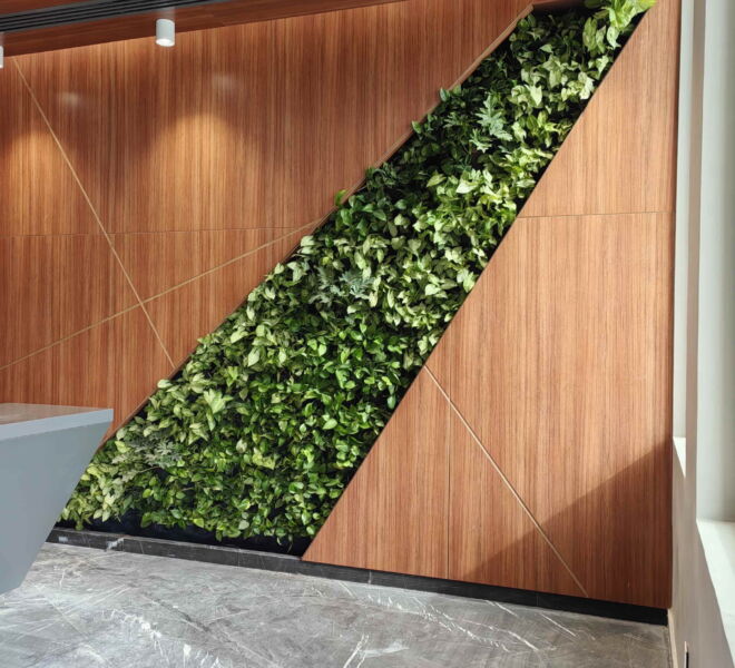 WhatsApp Image 2025-01-15 at 1.13.47 PM (1)