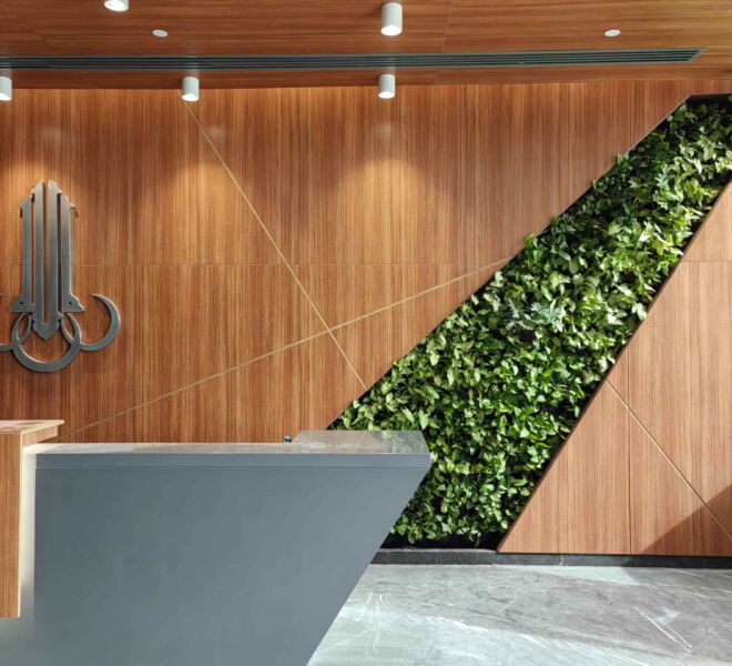 WhatsApp Image 2025-01-15 at 1.13.47 PM (3)