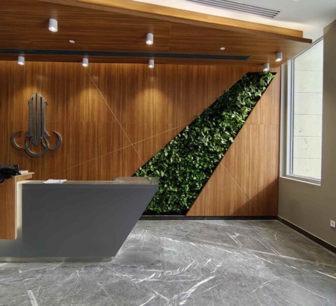 WhatsApp Image 2025-01-15 at 1.13.47 PM