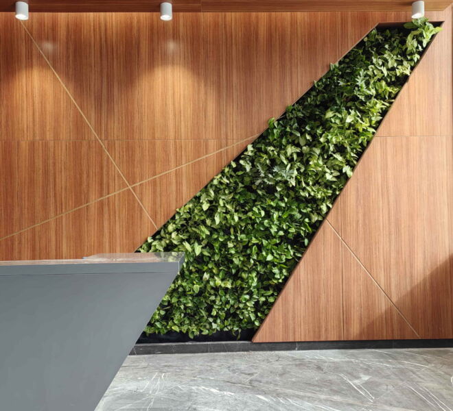 WhatsApp Image 2025-01-15 at 1.13.48 PM