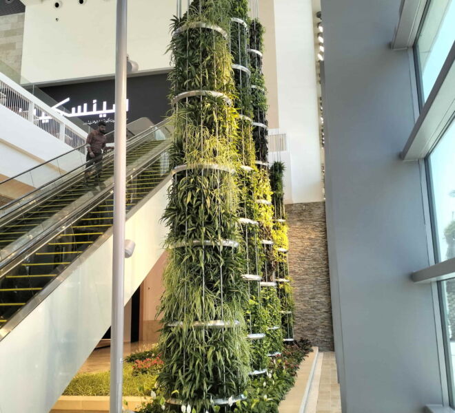 WhatsApp Image 2025-06-16 at 2.19.58 PM